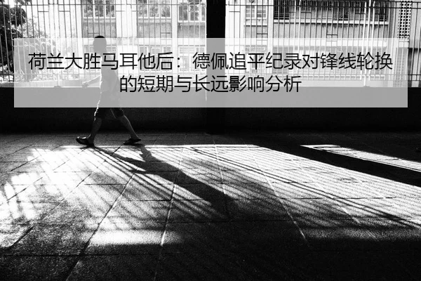 he-lan-da-sheng-ma-er-ta-hou-de-pei-zhui-ping-ji-lu-dui-feng-xian-lun-huan-de-duan-qi-yu-chang-yuan-ying-xiang-fen-xi-2-433.jpg